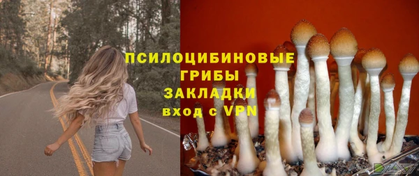 герыч Алексин