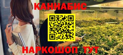 дживик Кингисепп
