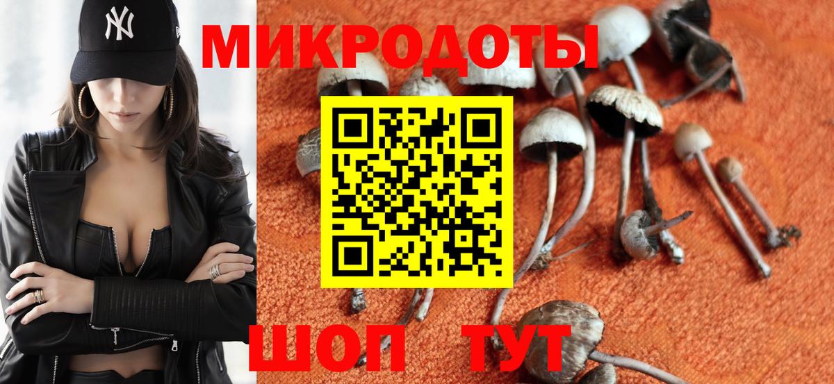 Псилоцибиновые грибы ЛСД Менделеевск