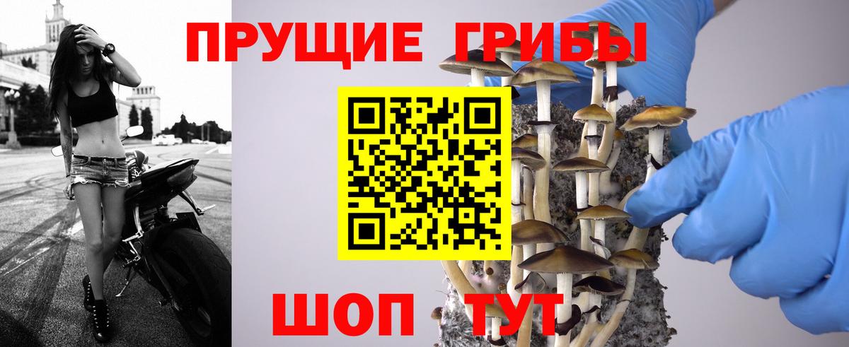 Галлюциногенные грибы Psilocybine cubensis  Вход с VPN  Менделеевск 