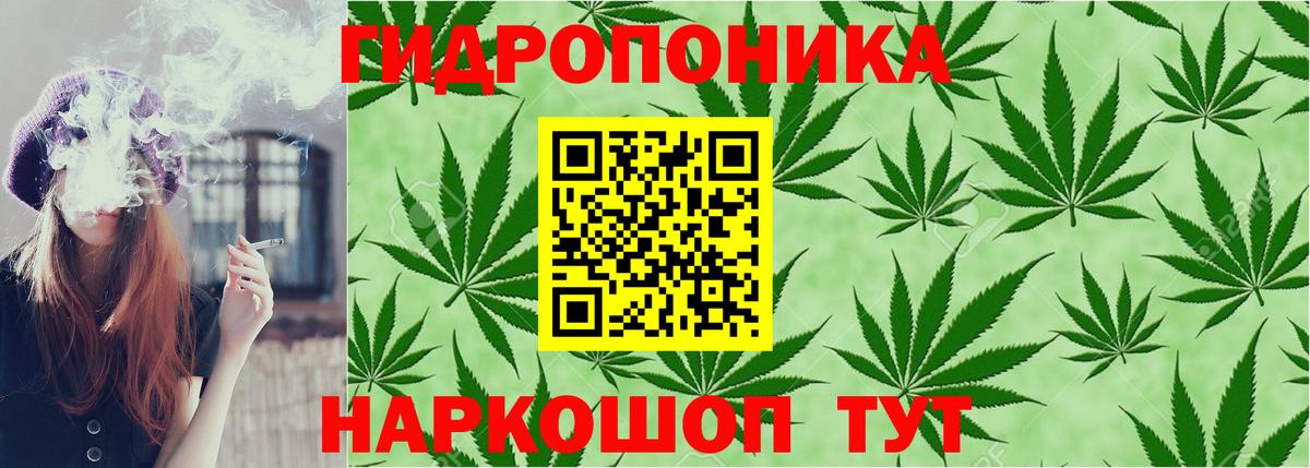 Бошки марихуана Amnesia  Вход с VPN  Шишки марихуана сатива  Менделеевск  Бошки марихуана индика  Каннабис индика 